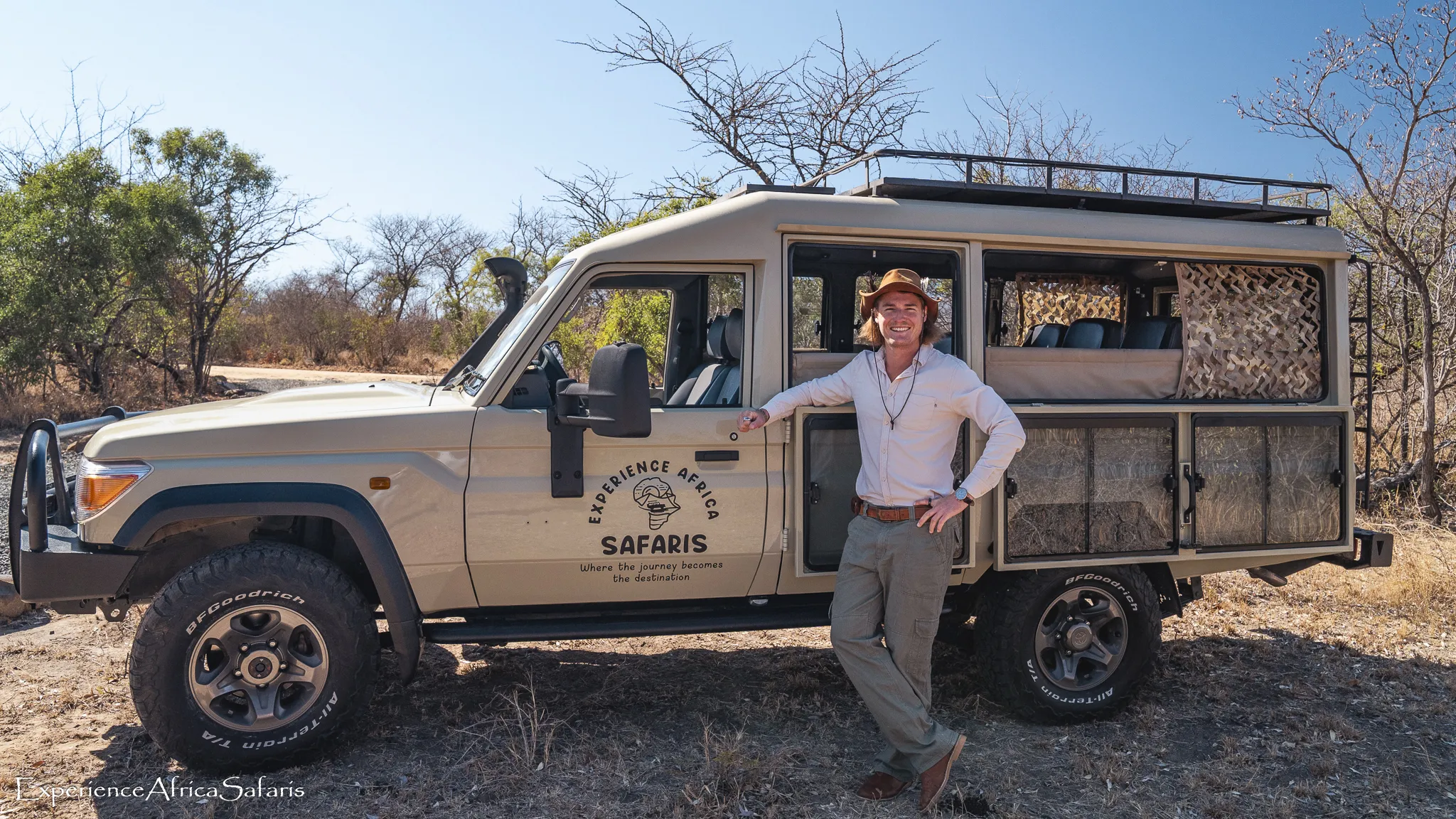 Lion in the Kruger